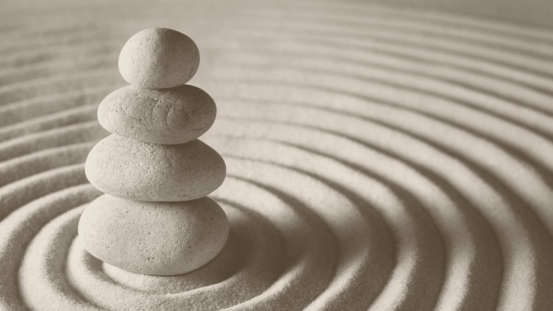jardin zen 3