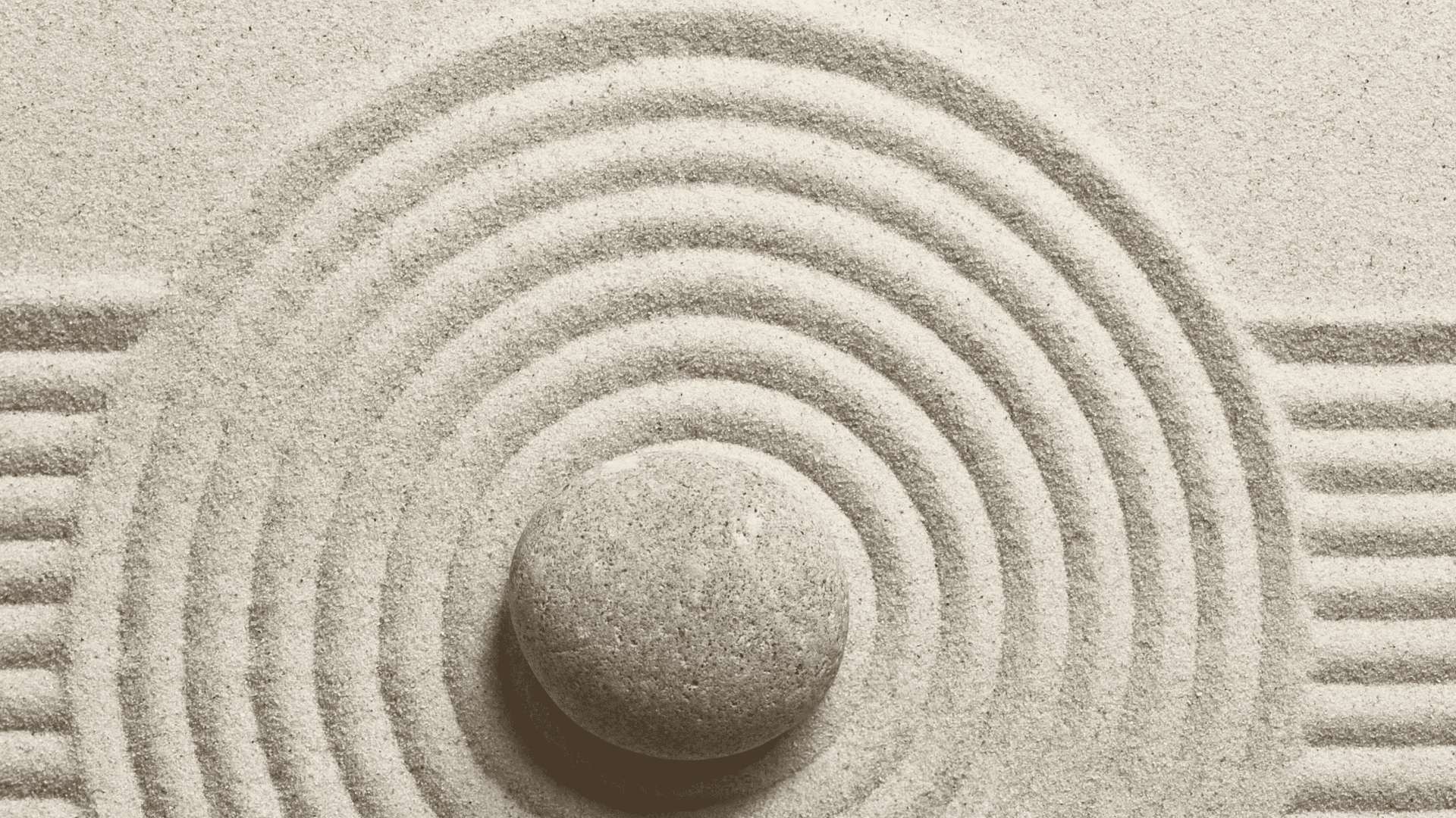 jardin zen 2